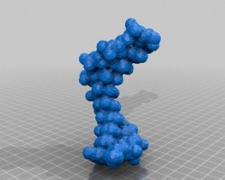 DNA 双螺旋结构 (1)